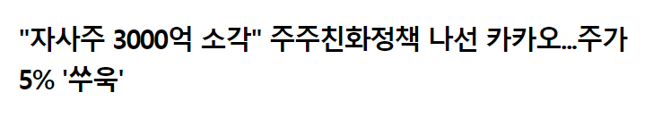 자사주 소각