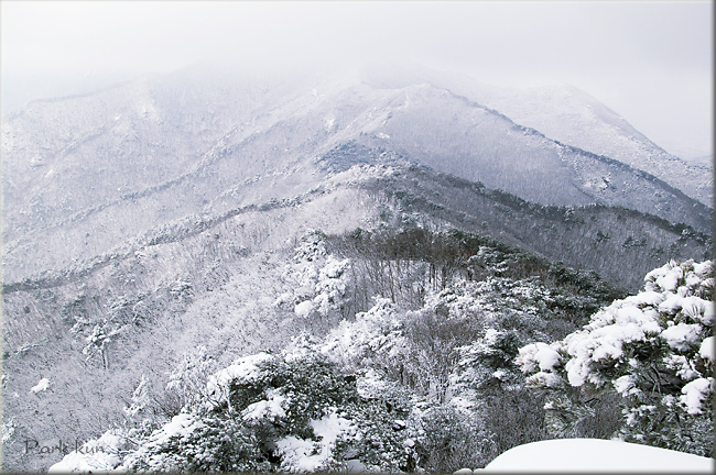 지금가야산 이미지