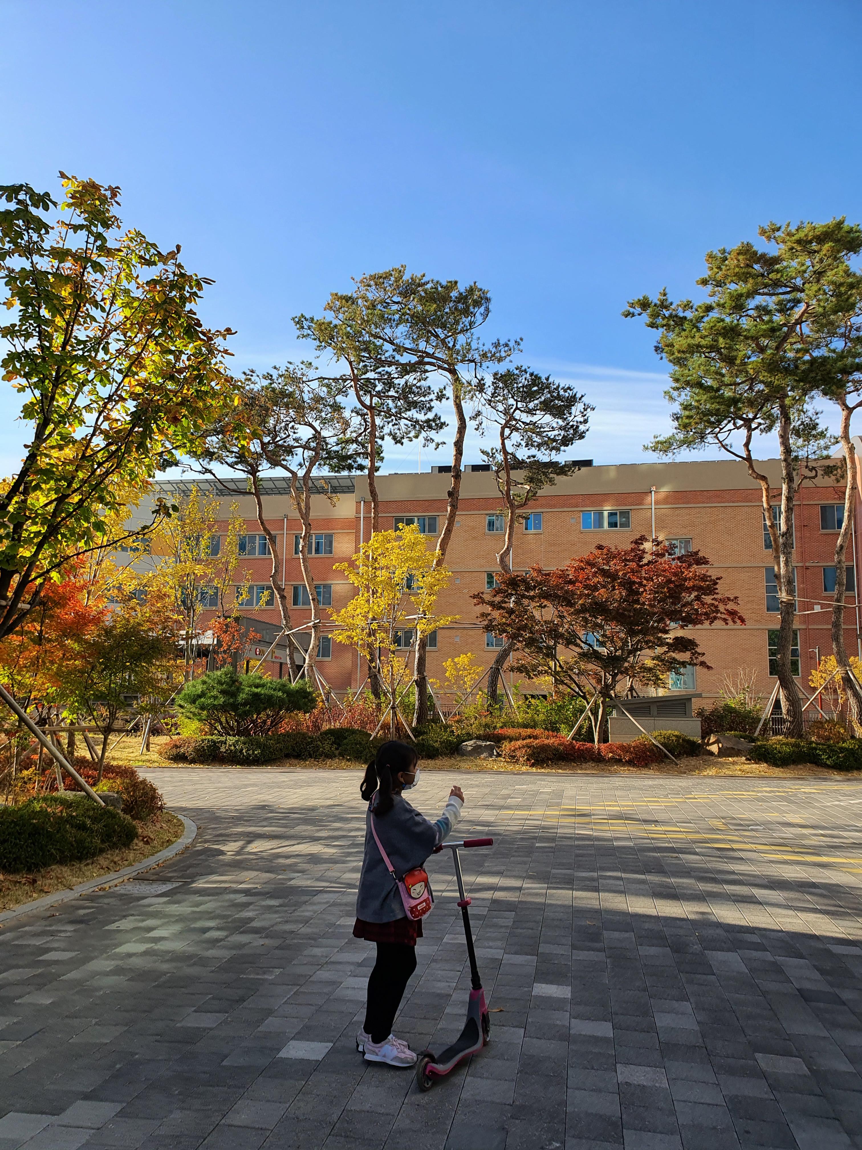  20.10.29 - 하랑이와 함께 등교길에서