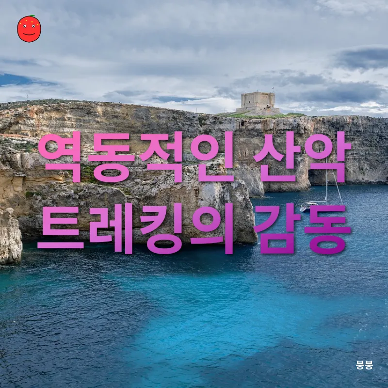 코모로 섬 여행_4
