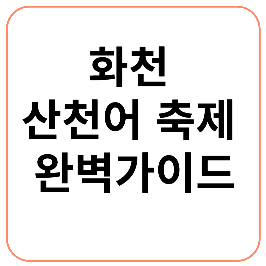 화천 산천어 축제 완벽 가이드