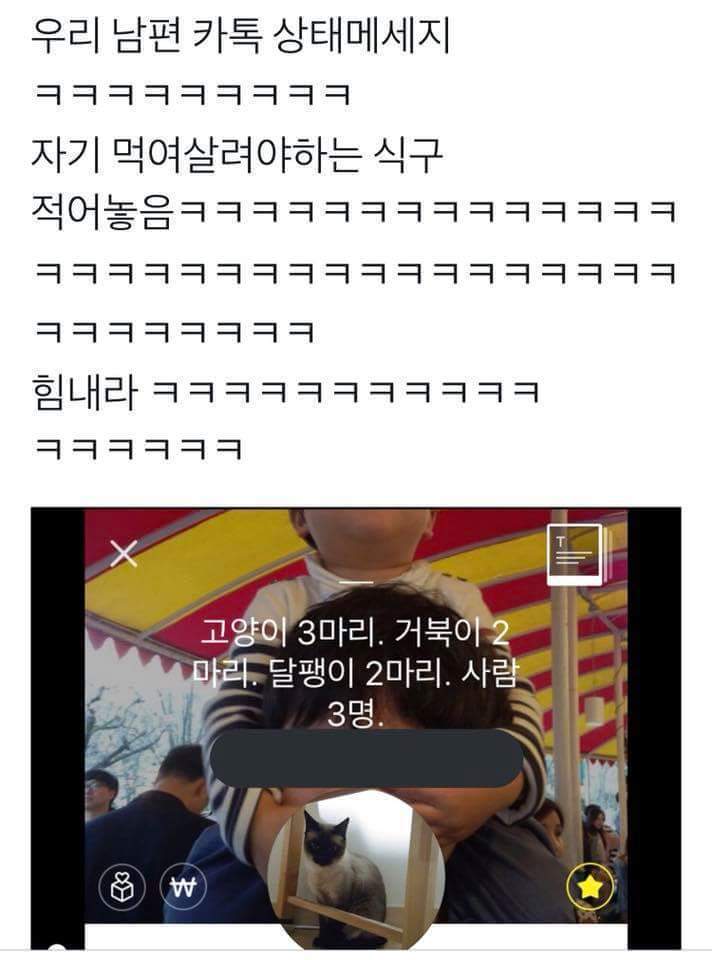  흔한 남편의 카톡 상메ㅋㅋㅋㅋㅋㅋ
