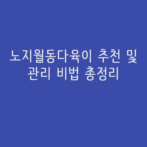 노지월동다육이 추천 및 관리 비법 총정리 노지월동다육이 추천 및 관리 비법 총정리