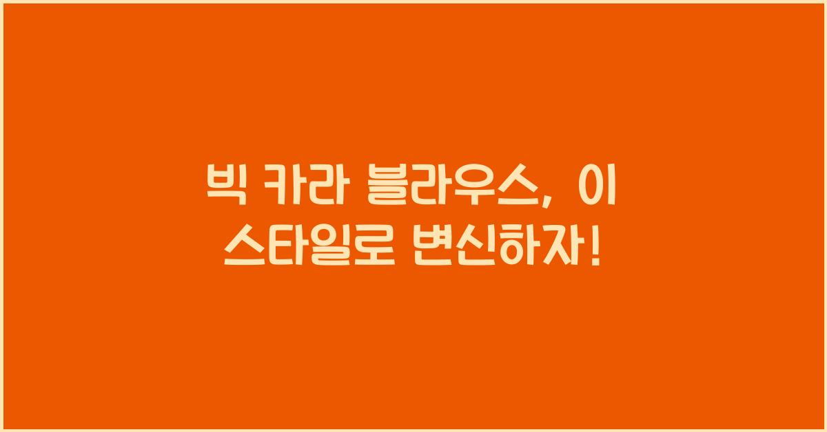 빅 카라 블라우스