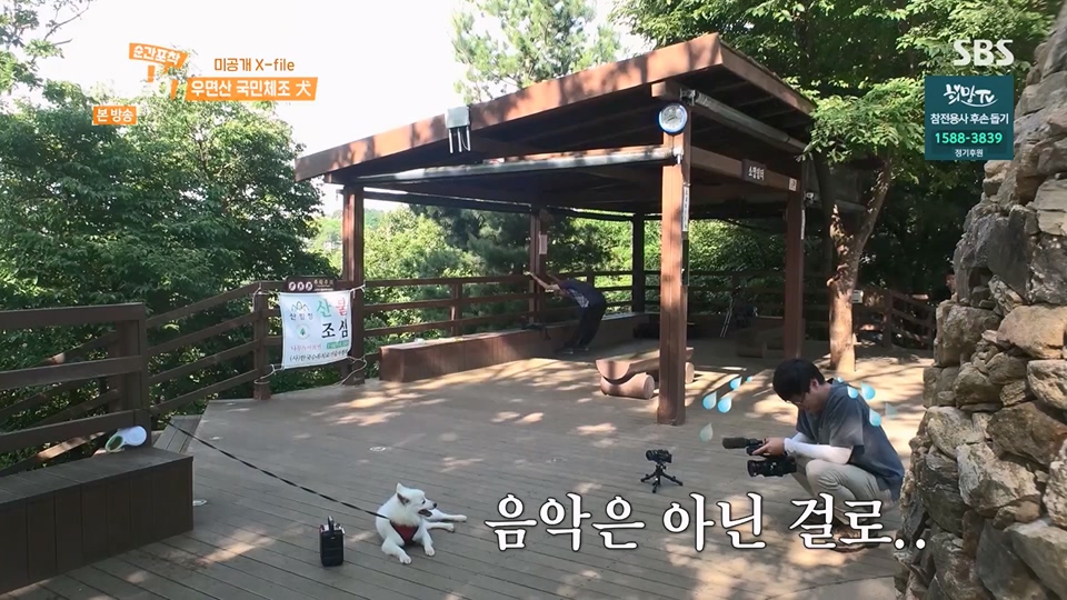 순간포착 세상에 이런일이.E1234.230624p.H264-F1RST.mp4_20230626_211201.942.jpg