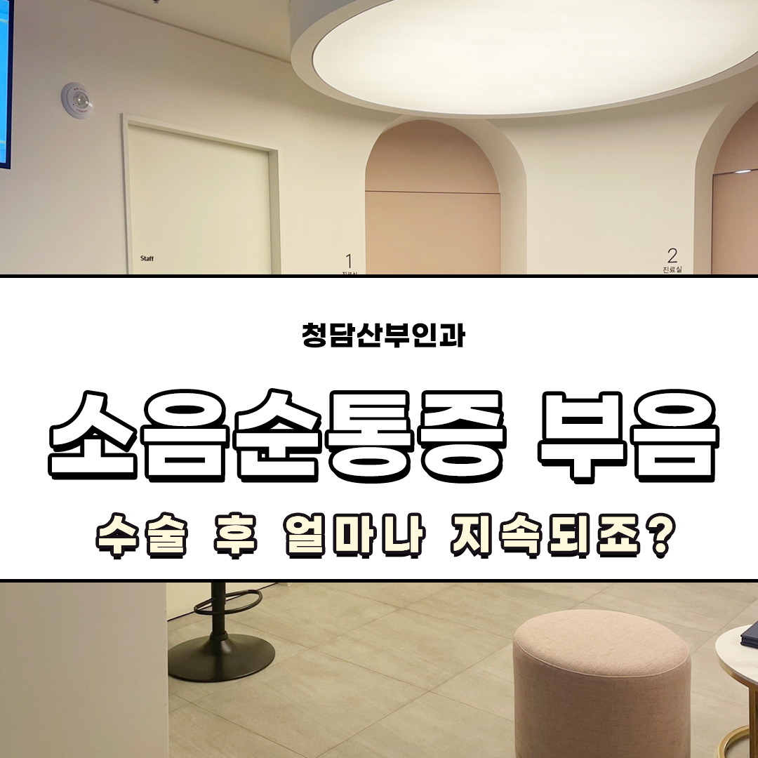 청담산부인과 소음순통증 소음순부음