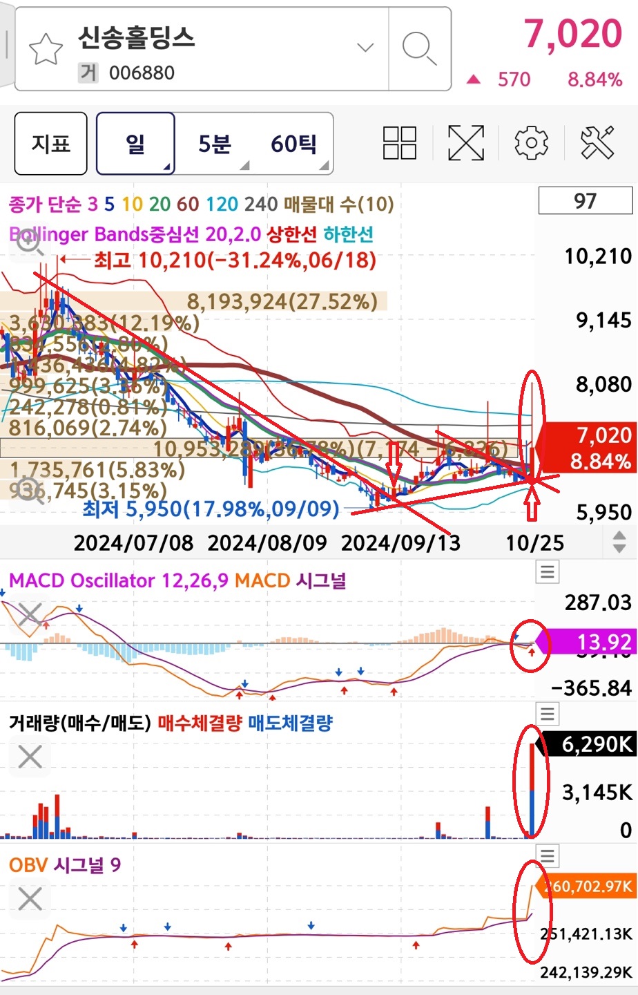 신송홀딩스