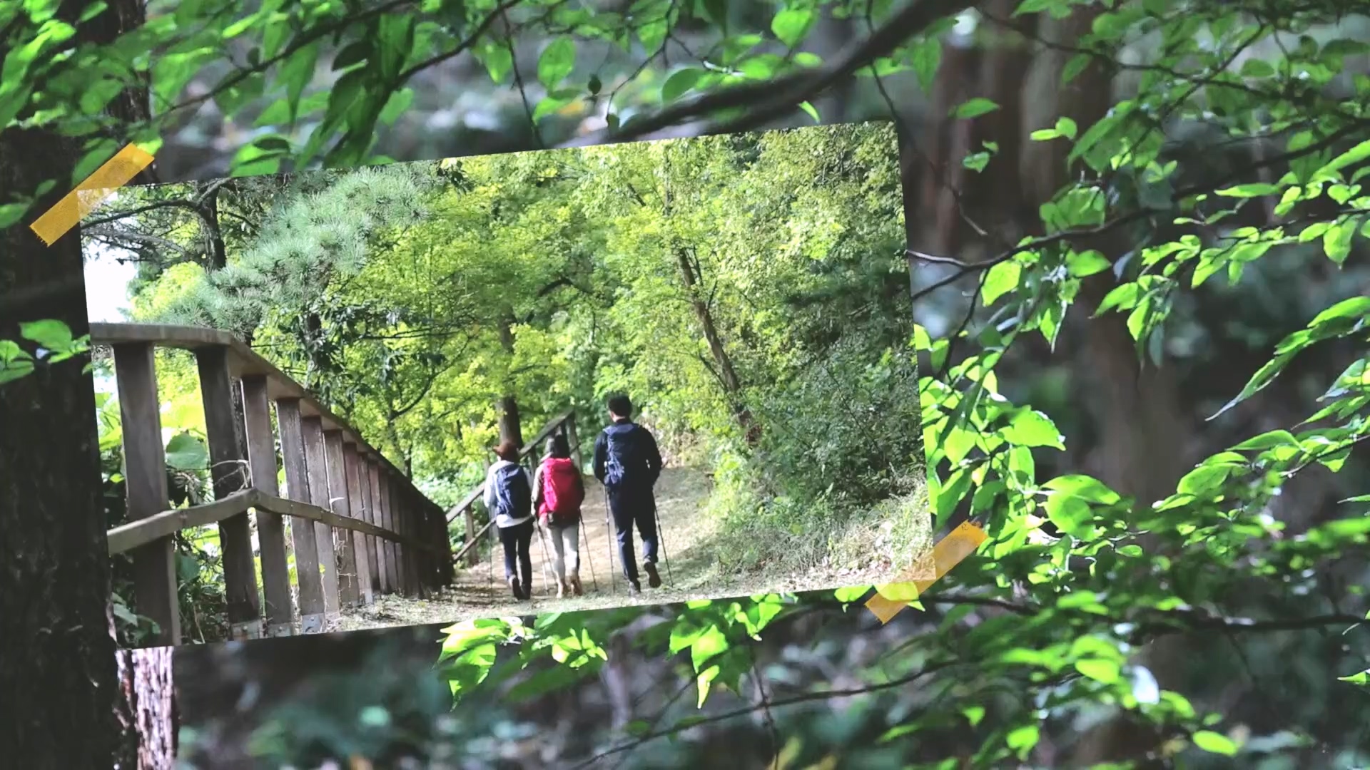 트레킹노트 세상을 걷다.E290.231014p.H264-F1RST.mp4_20231014_181415.993.jpg