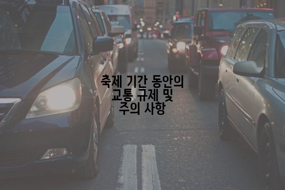 축제 기간 동안의 교통 규제 및 주의 사항