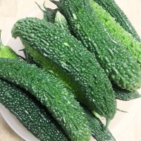 여주의 효능(10종) 34