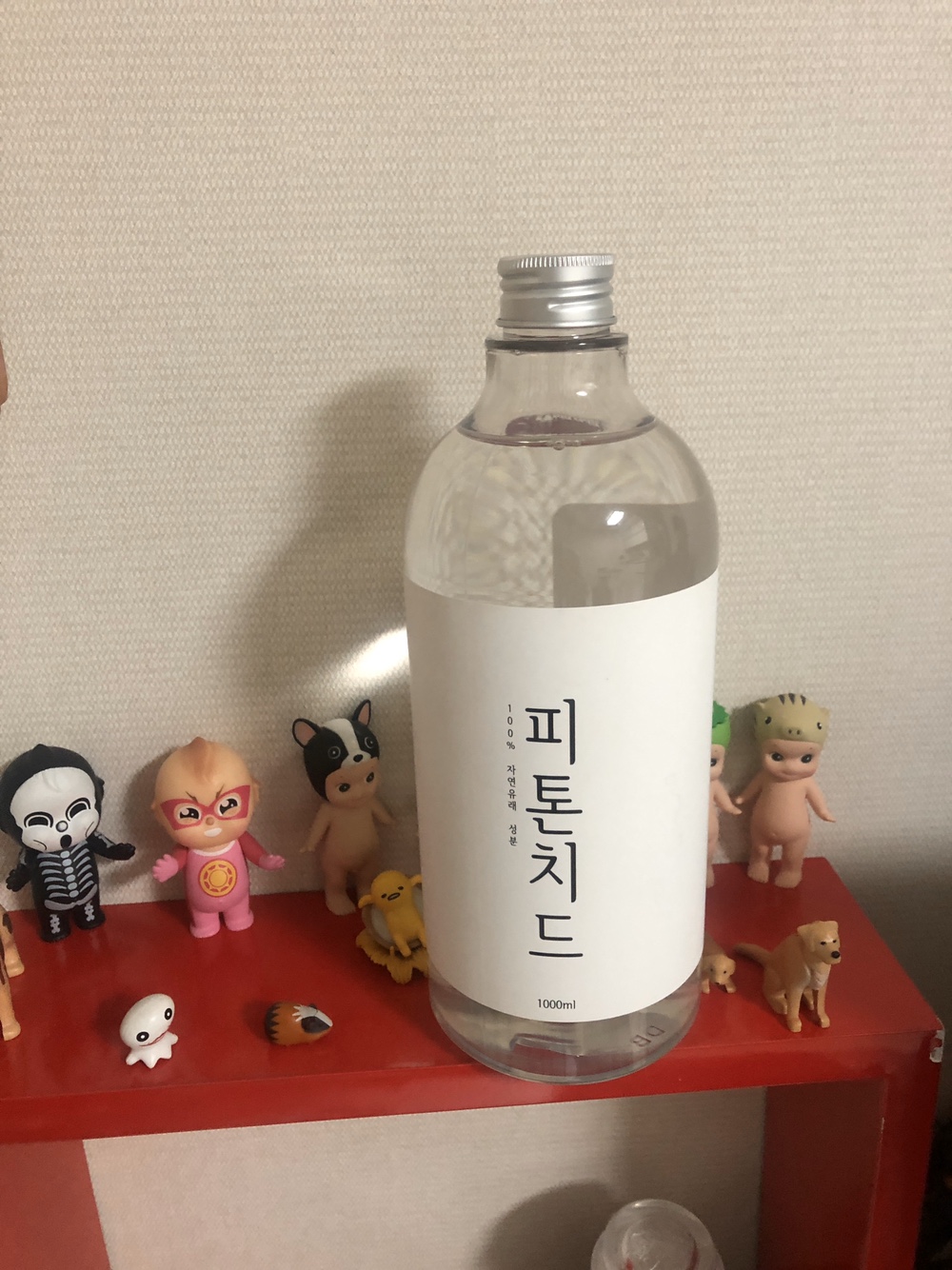  실내공기정화식물순위 알아두면 좋죠~
