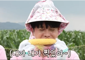  6시 내고향 네박자 초당 옥수수 판매처 정보 여기있습니다.
