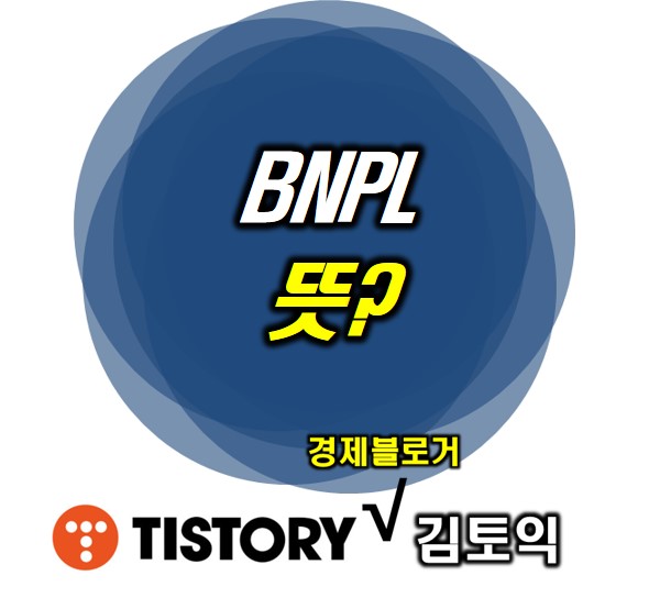  BNPL 알아보자 : 뜻, 문제점 등