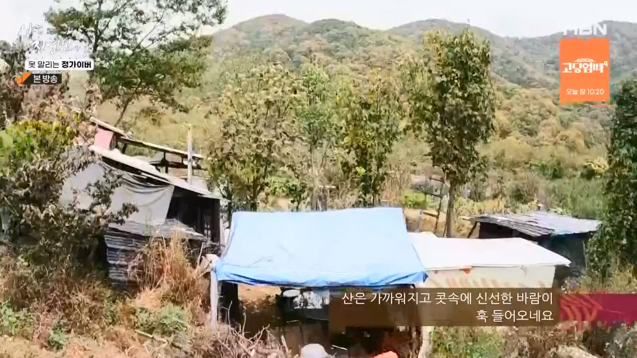 나는 자연인이다.E580.231116p-NEXT.mp4_20231116_202511.561.jpg