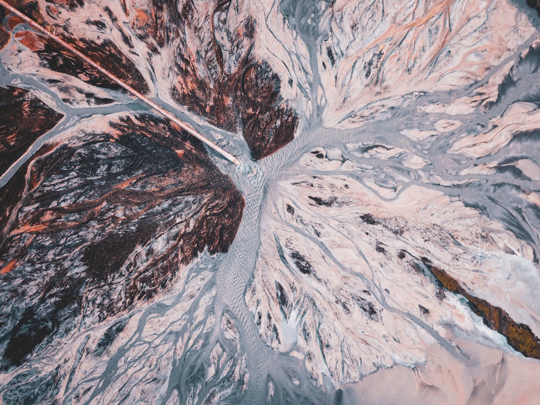 Ecosystem