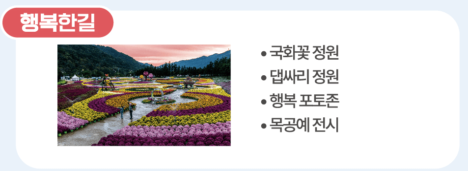 인제 가을꽃 축제 일정&#44; 팁 총정리