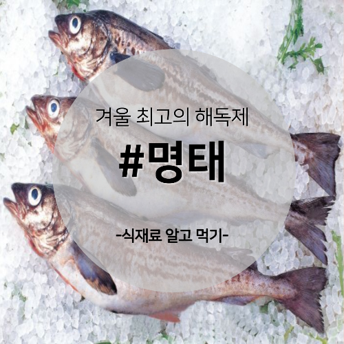  알고 먹기 38. #명태