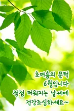 6월 인사말 모음집 이미지 문구 이미지 모음_6