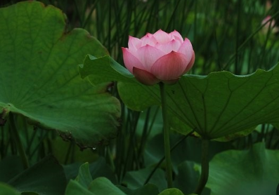 태안 청산수목원 여행지