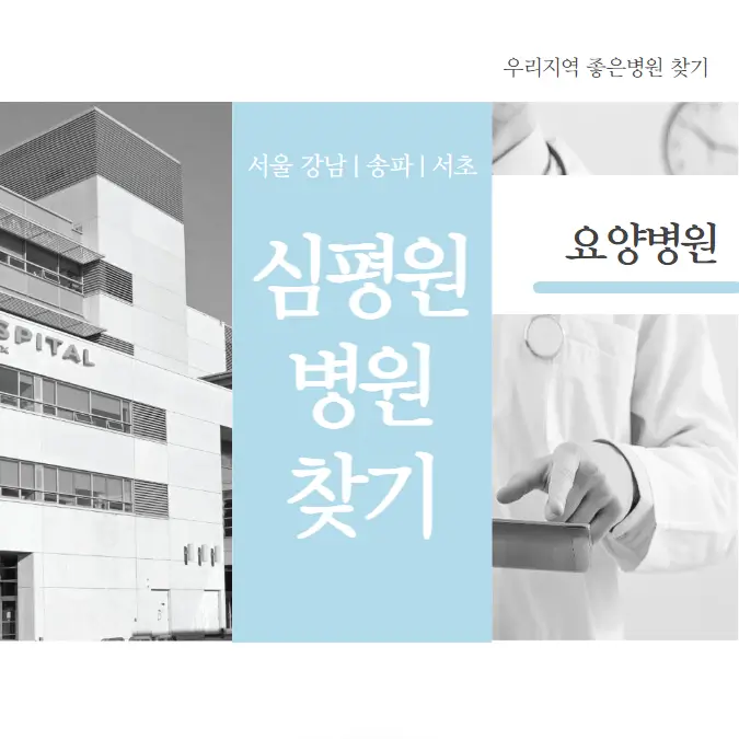 서울-강남구-송파구-서초구-요양병원-추천