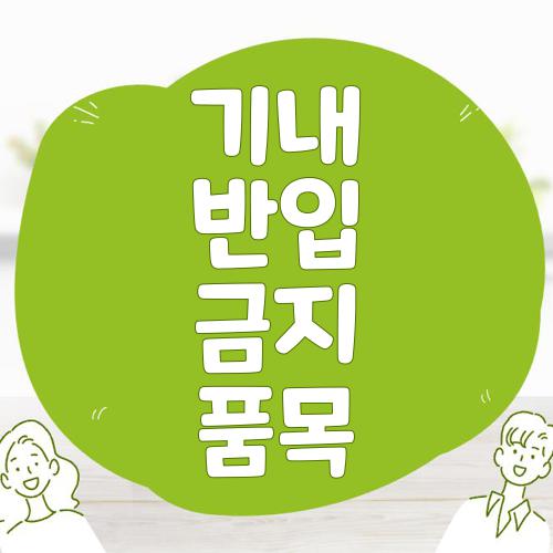 기내 반입 금지 품목