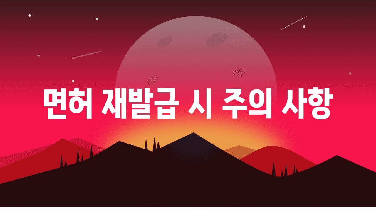 면허 재발급 시 주의 사항