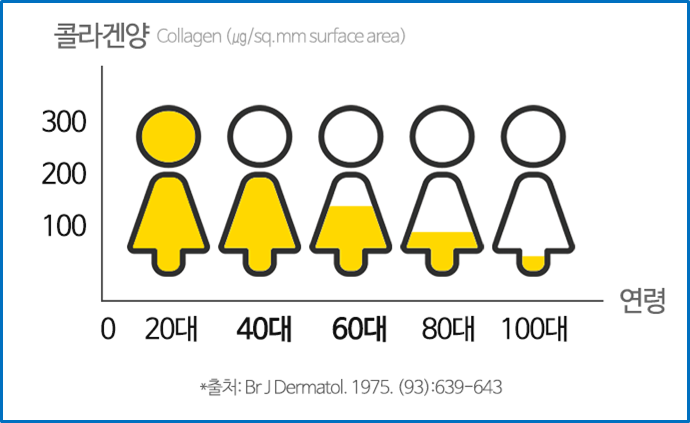  [영양제] 콜라겐제품 선택 기준
