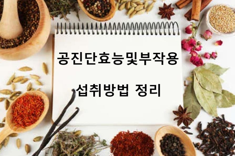 공진단효능(2)