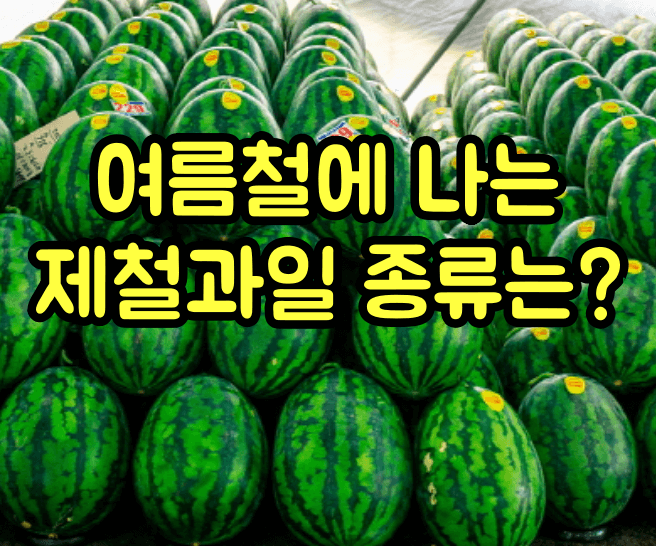 여름철에 나는 제철 과일 종류