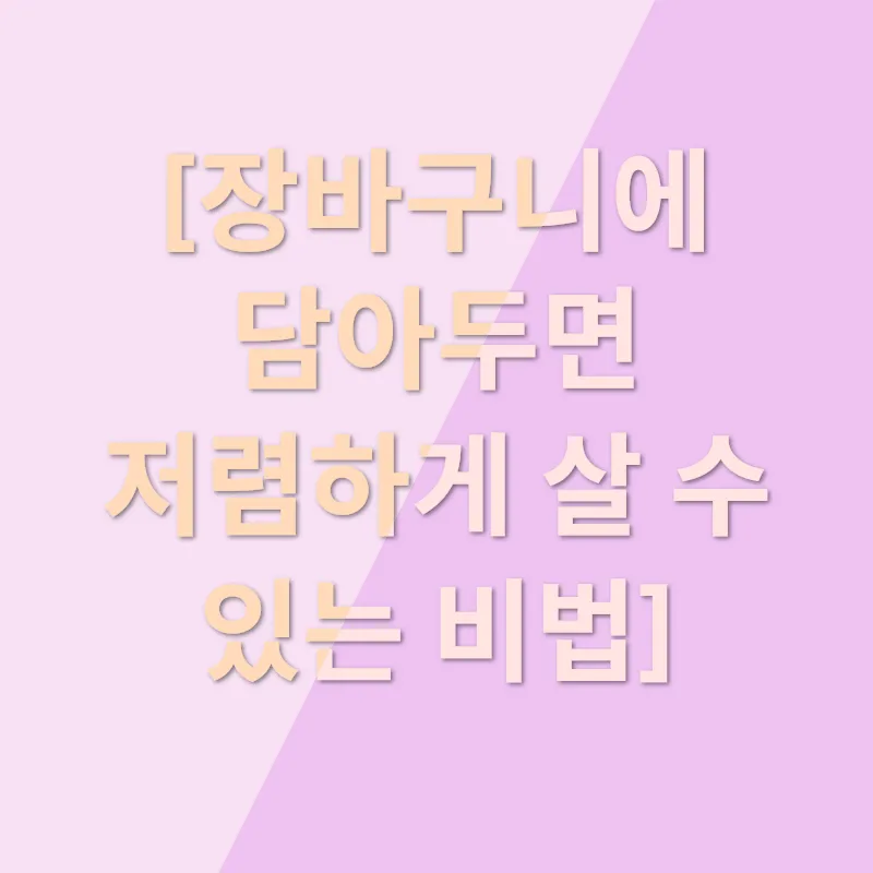 테무 쇼핑 리뷰_1