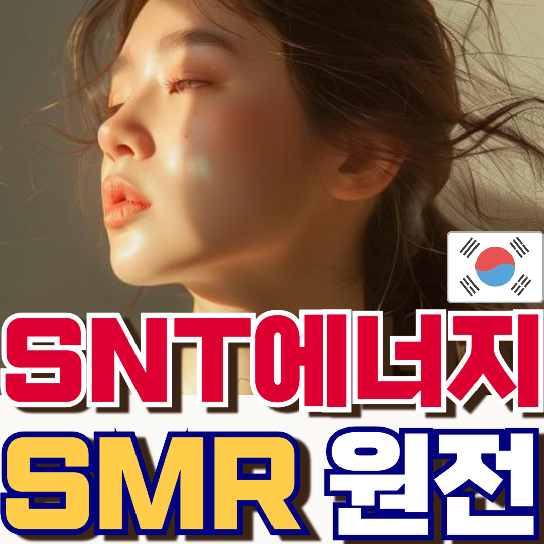 SNT에너지