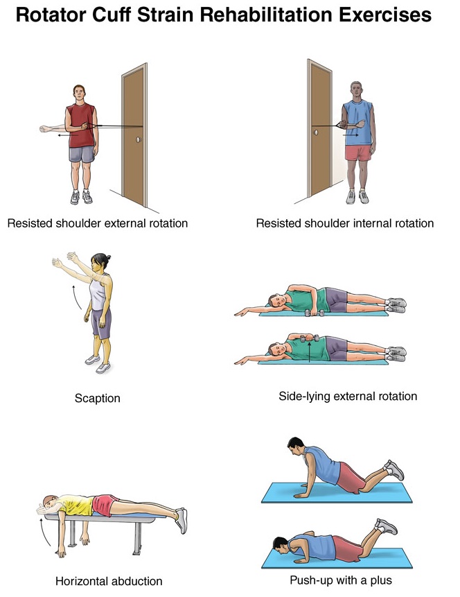 shoulder reghabilitation exercises