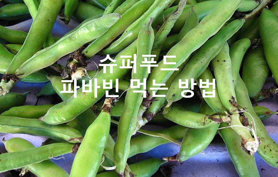 파바빈 먹는 방법