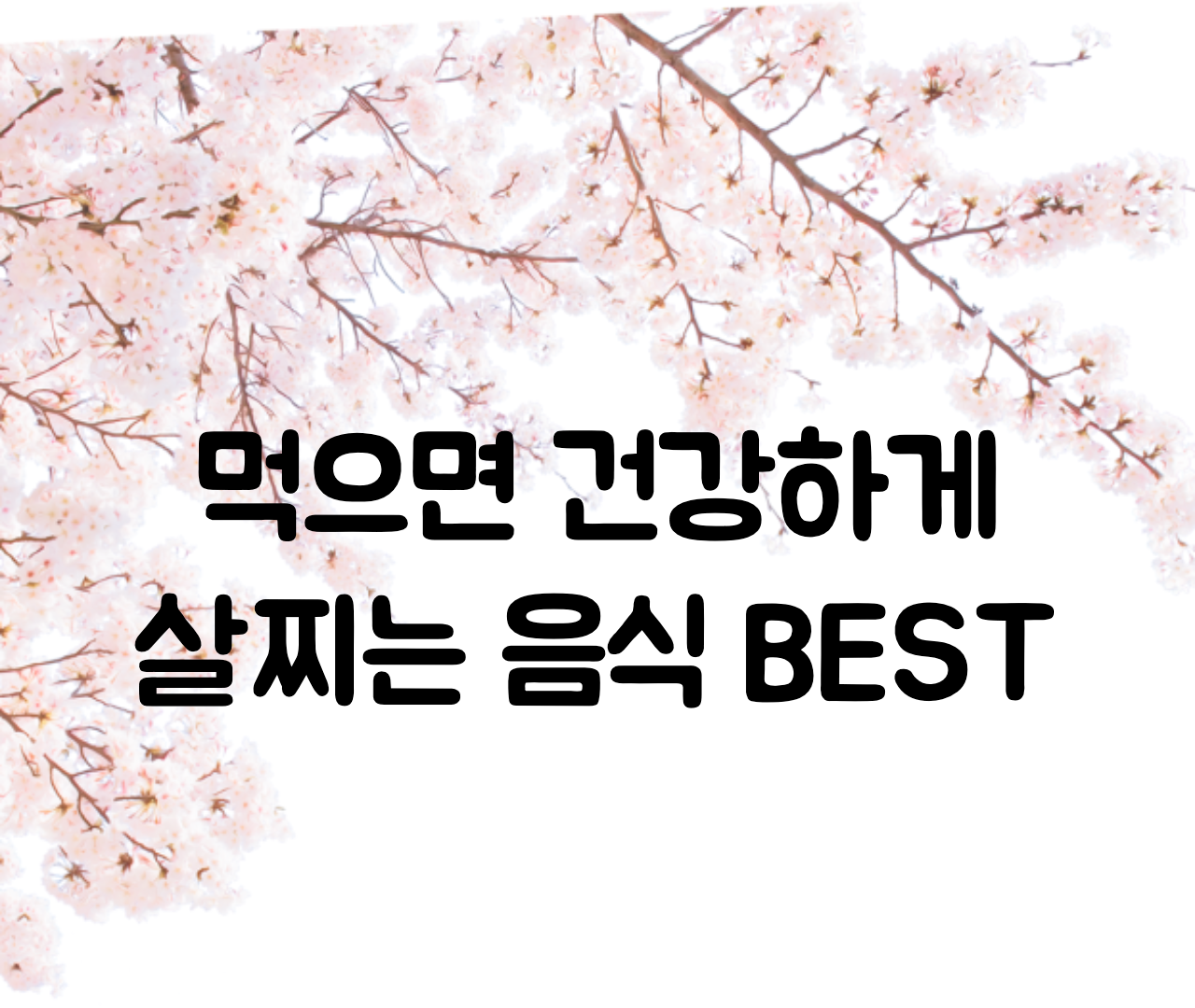  먹으면 건강하게 살찌는 음식 Best 순위