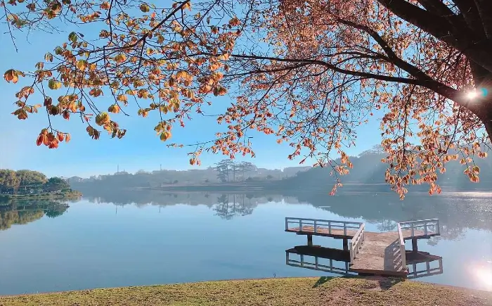 쑤안 흐엉 호수 Xuan Huong Lake (source: youtube.com)