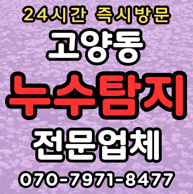 일산 고양동 식당 주방 누수1