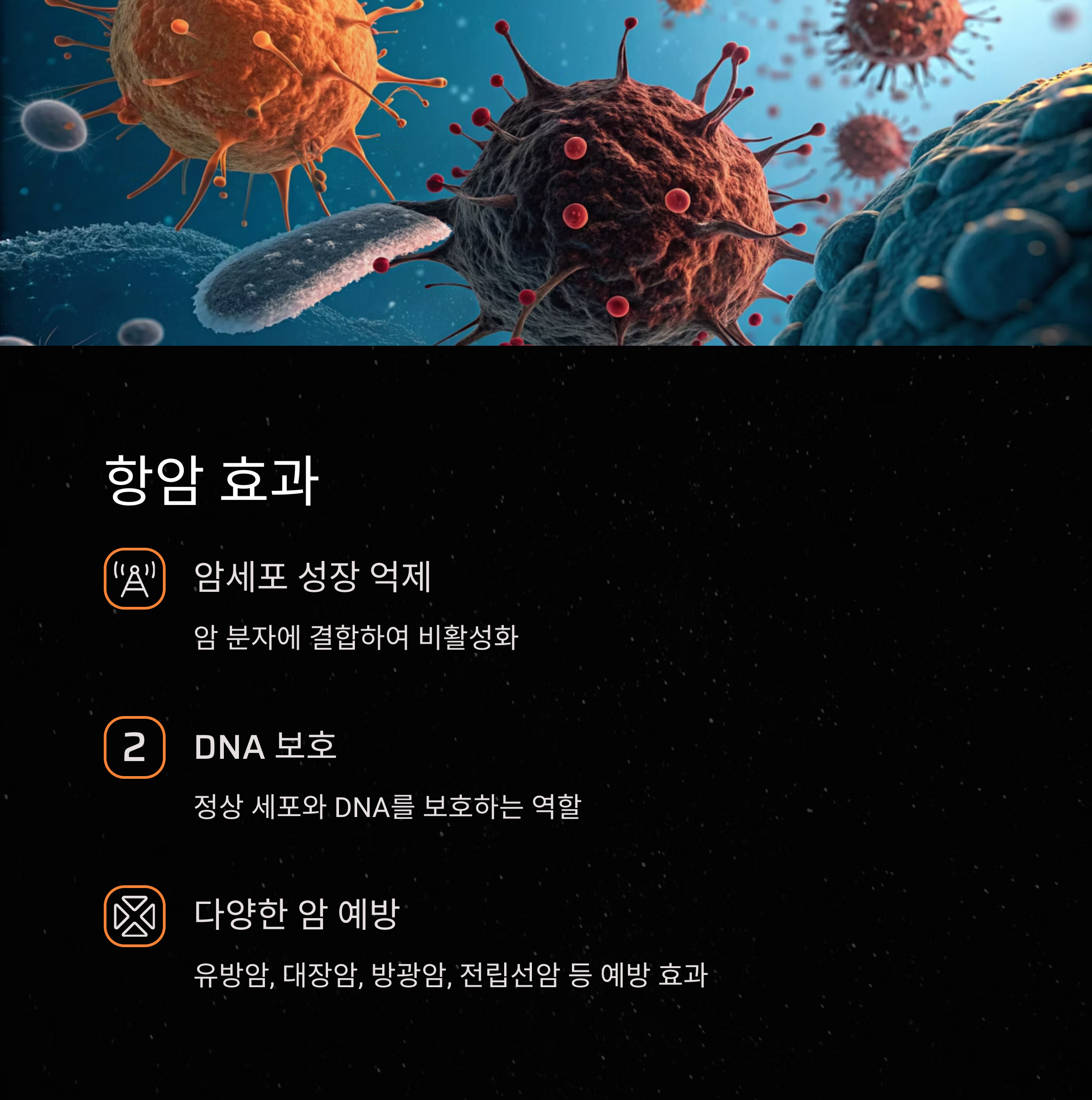 석류