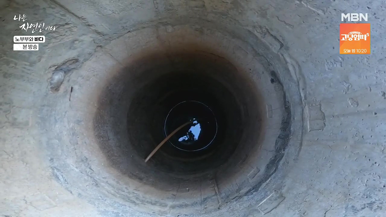 나는 자연인이다.E610.240620p-NEXT.mp4_20240620_193658.016.jpg