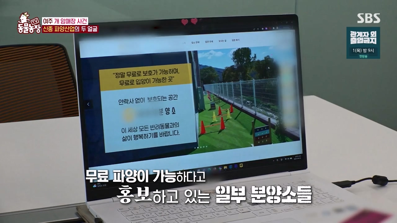 TV 동물농장.E1122.230529p-NEXT.mp4_20230528_170305.381.jpg