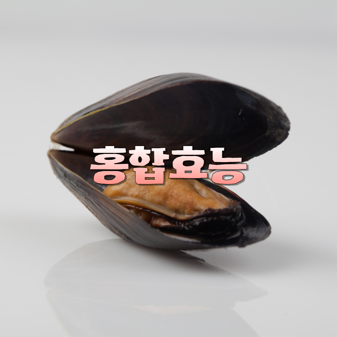 홍합 효능 영양성분 고르는법 부작용