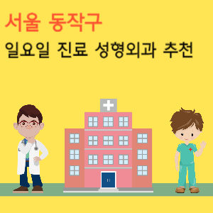 서울 동작구 일요일 진료 성형외과 추천