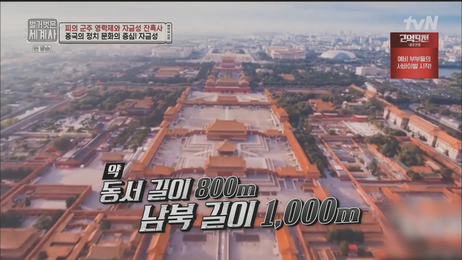 벌거벗은 세계사.E106.230704p.H264-F1RST.mp4_20240130_200537.225.jpg