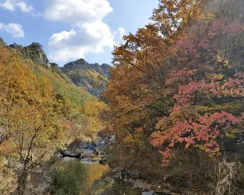 주왕산 국립공원 단풍_28