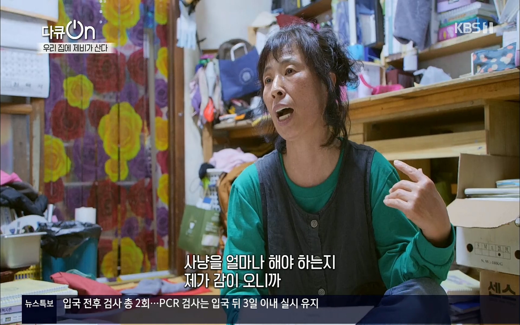 다큐 On.E143.220610p.H264-F1RST.mp4_20220613_202644.915.jpg