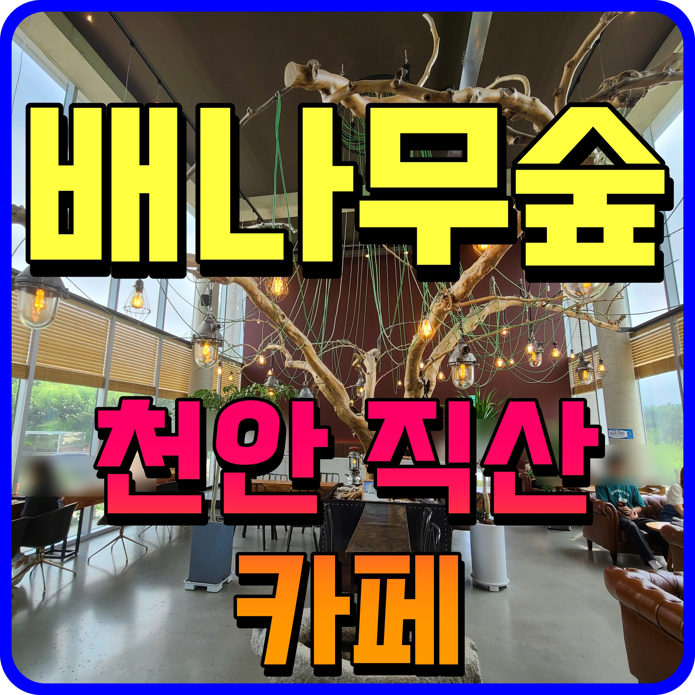  천안 직산 배나무숲 카페 5월 꽃피는 시기에 가면 풍경이 어마어마해