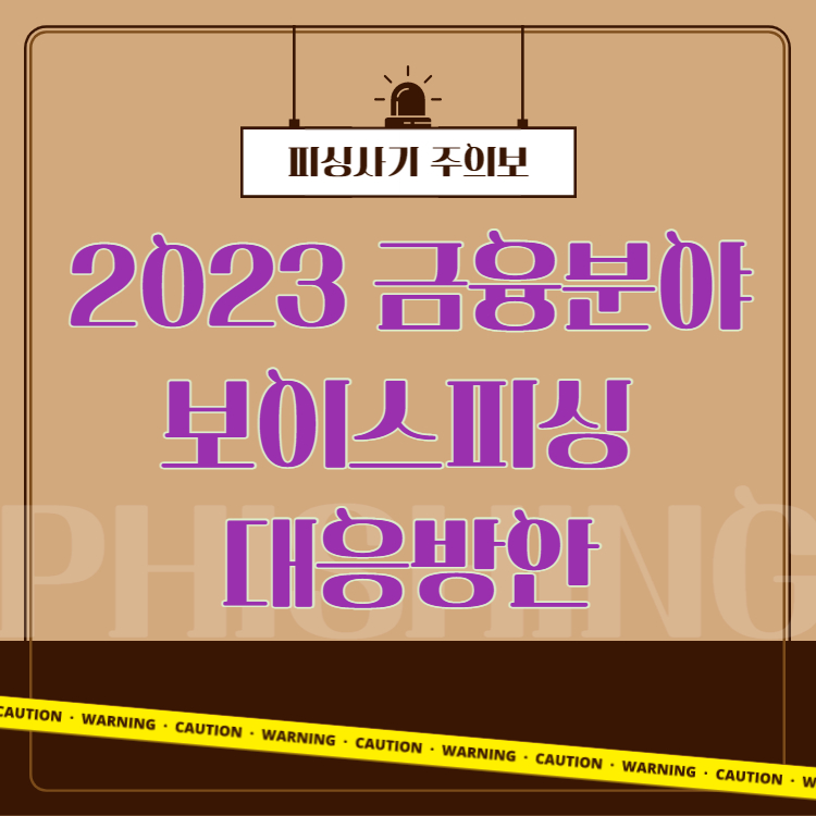 보이스피싱대응방안