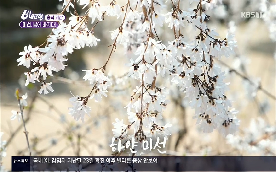 6시 내고향.E7509.220413p.H264-F1RST.mp4_20220418_191739.841.jpg
