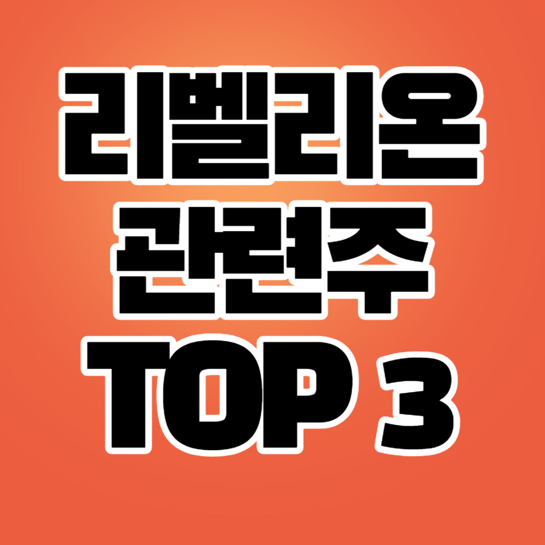 리벨리온 관련주 TOP 3