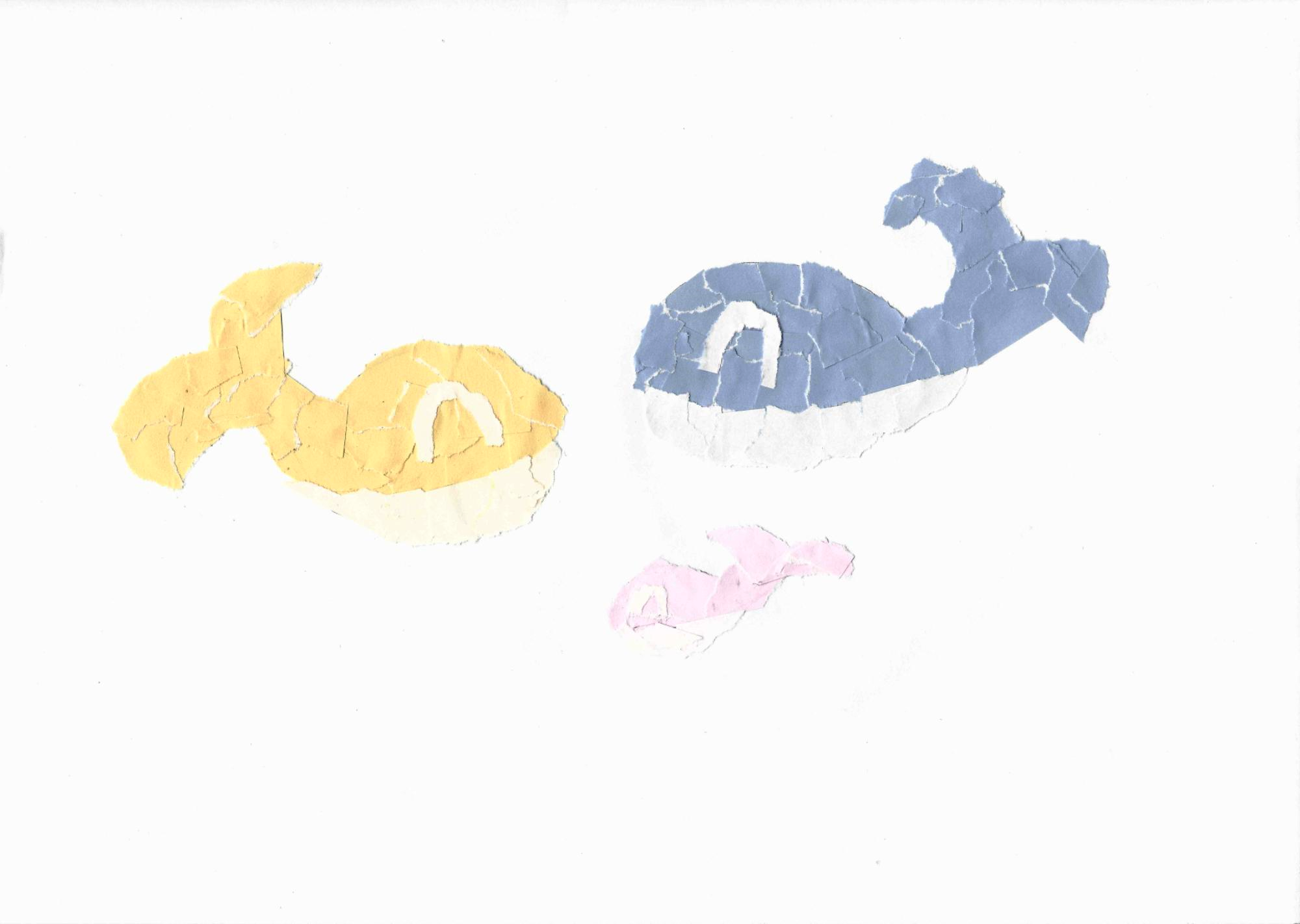  내 조카 고래