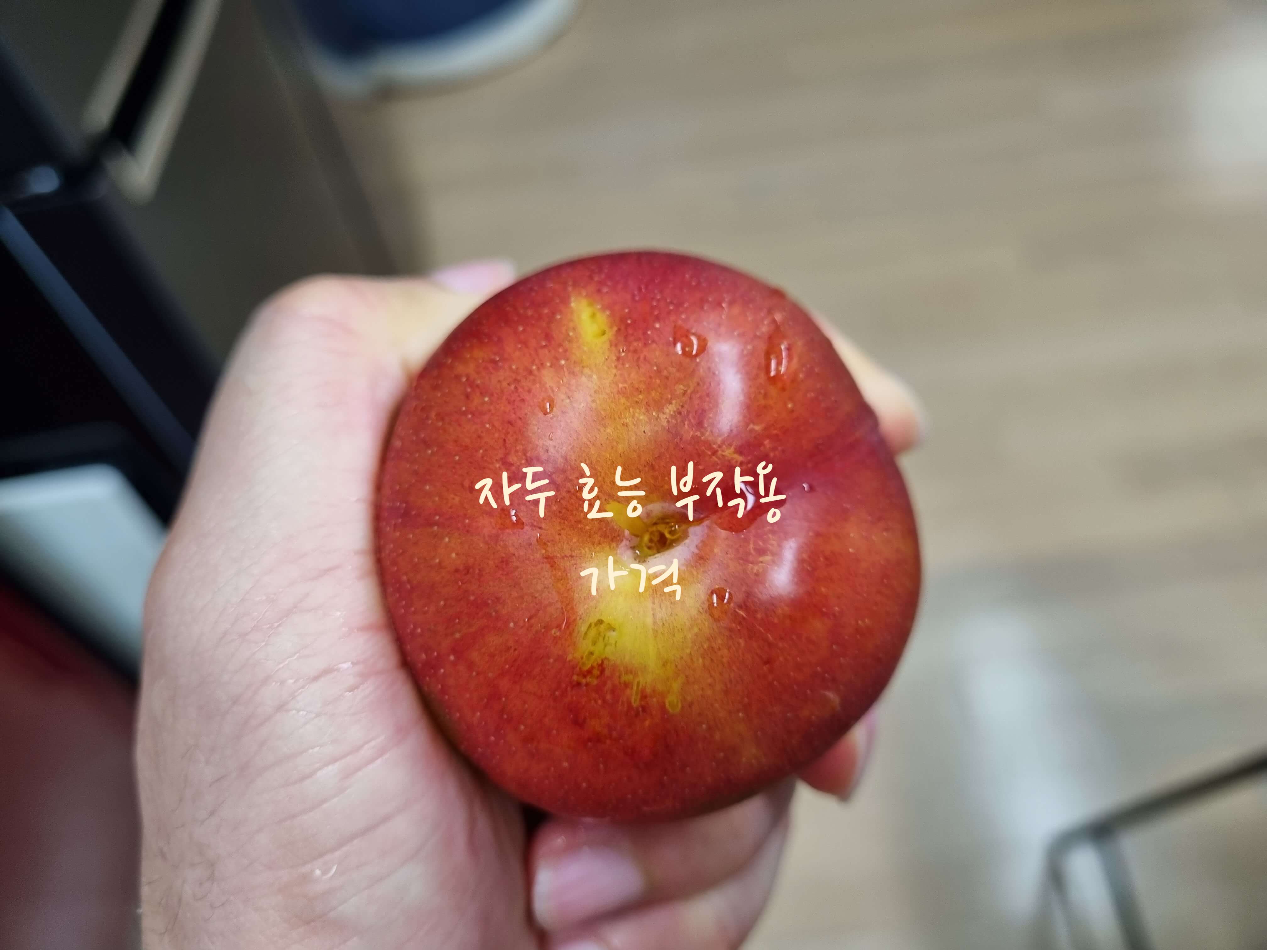  자두 효능 부작용 가격